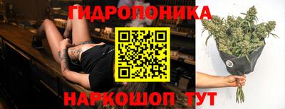мдпв Пушкино