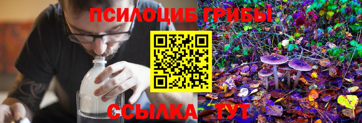 Галлюциногенные грибы Magic Shrooms  Псилоцибиновые грибы Cubensis  Приморско-Ахтарск  Вход с VPN 